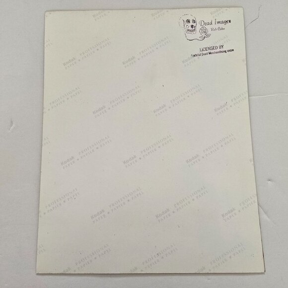 Grateful Dead Licensed Photo Print By Rob Cohn Bassist Phil Lesh Glossy Kodak Pa - Picture 10 of 12